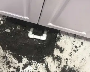 长寿查漏水哪家好